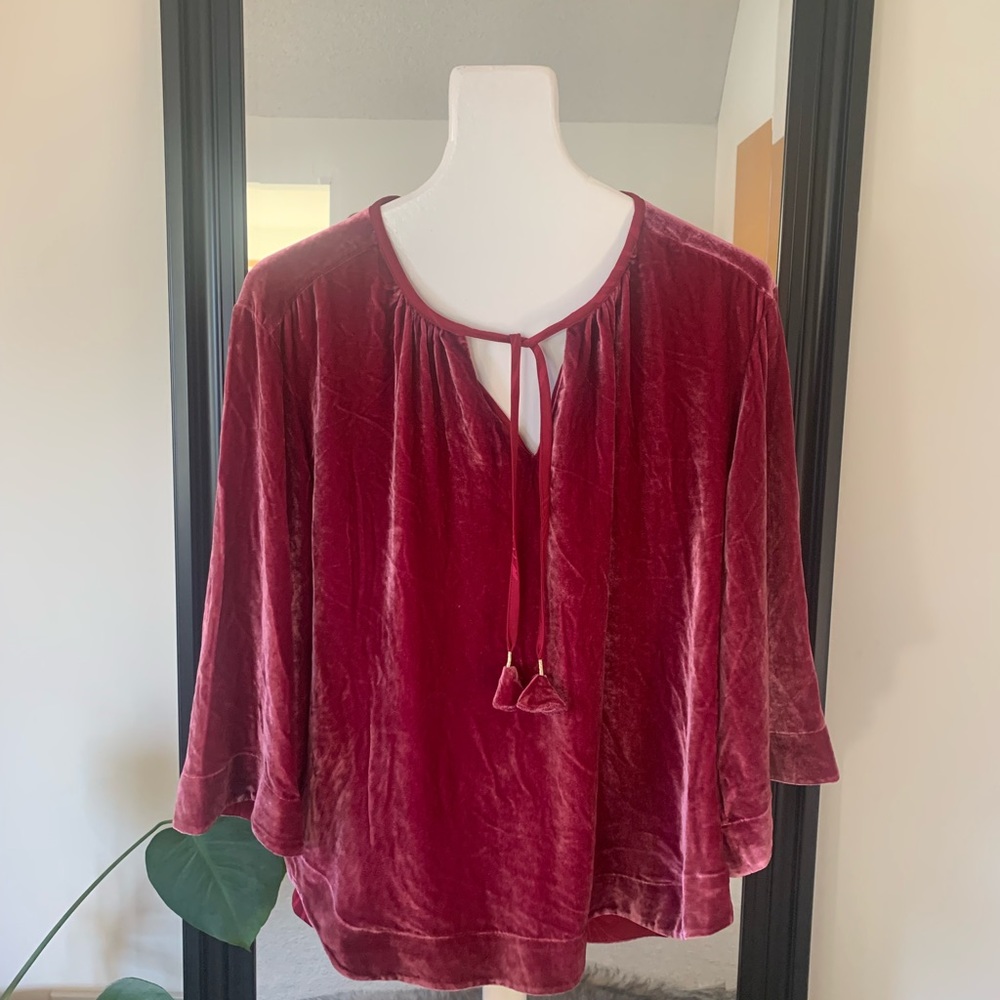 Tommy Bahama Velvet Top - Picture 7 of 7